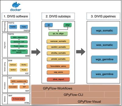 DIVIS: Integrated and Customizable Pipeline for Cancer Genome Sequencing Analysis and Interpretation